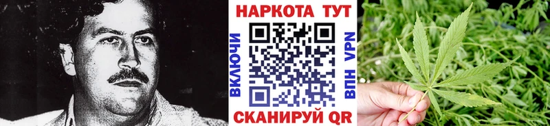 Где можно купить наркотики Пушкино Гашиш  Альфа ПВП  МЕФ  Марихуана 