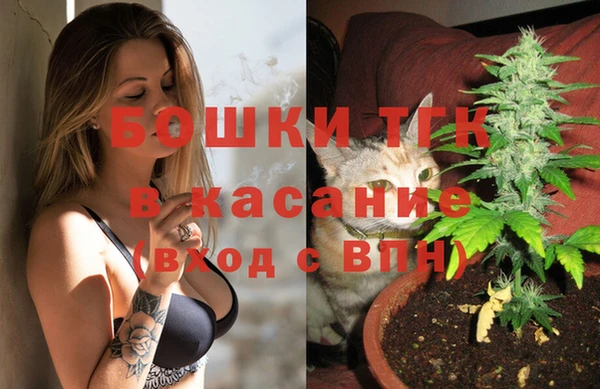 ГАЛЛЮЦИНОГЕННЫЕ ГРИБЫ Костерёво
