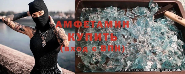 ГАЛЛЮЦИНОГЕННЫЕ ГРИБЫ Костерёво