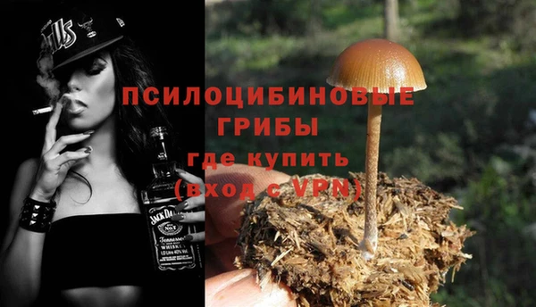 ГАЛЛЮЦИНОГЕННЫЕ ГРИБЫ Костерёво