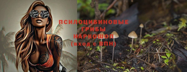 ГАЛЛЮЦИНОГЕННЫЕ ГРИБЫ Костерёво