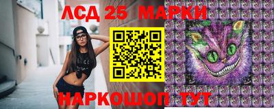 гидропоника Кингисепп
