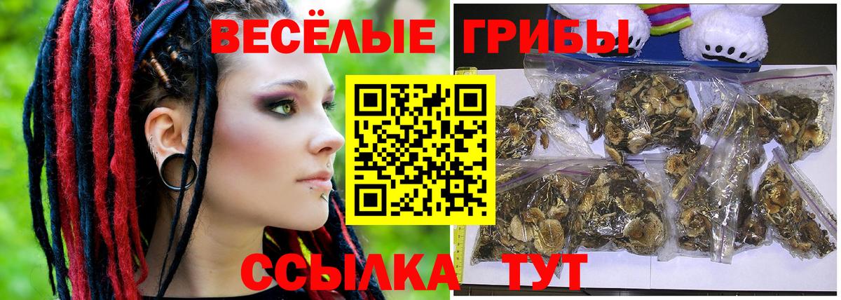 Галлюциногенные грибы Psilocybine cubensis  закладки  Пушкино 